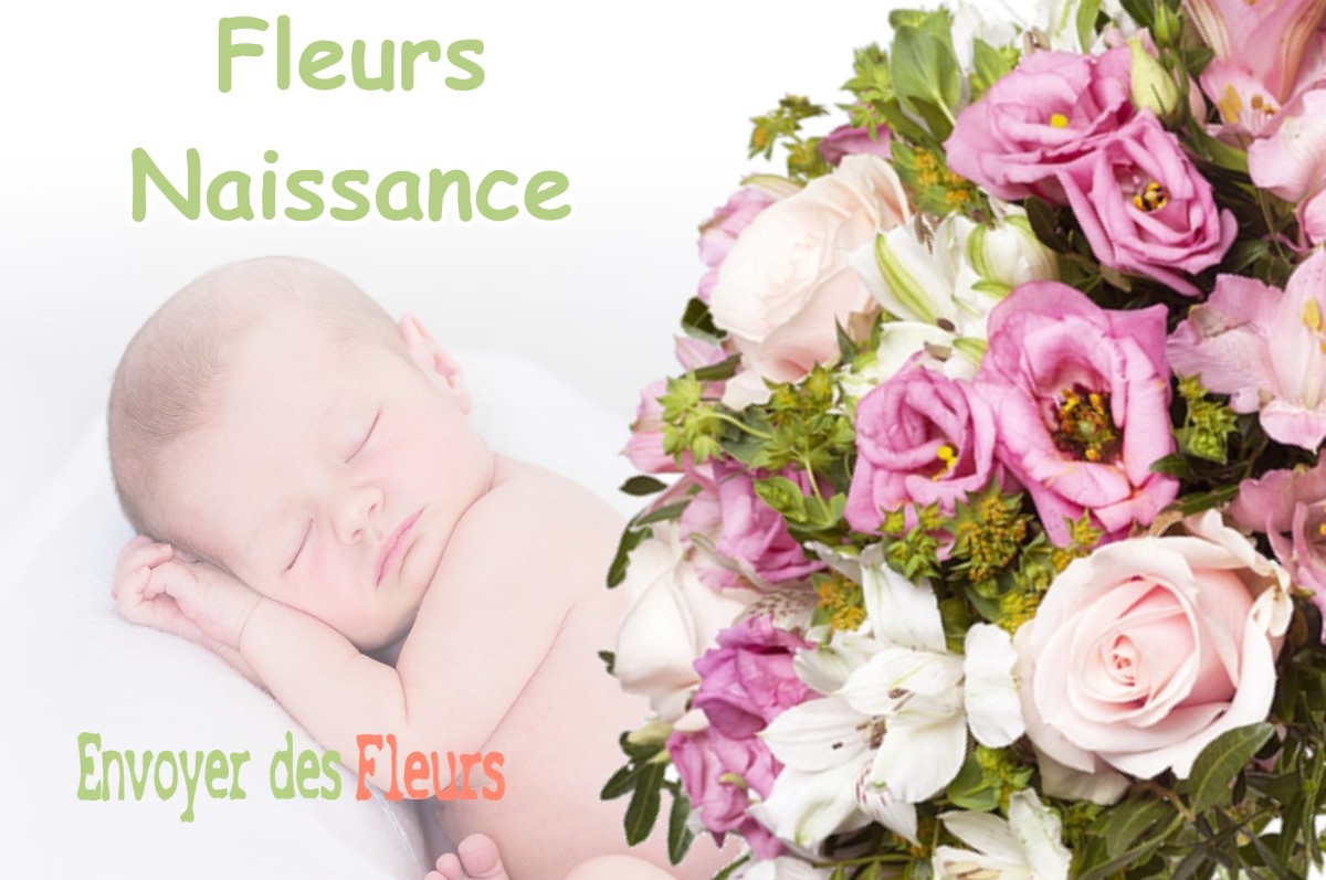 lIVRAISON FLEURS NAISSANCE à FROIDOS